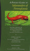 A Pocket Guide to Salamanders of Pennsylvania